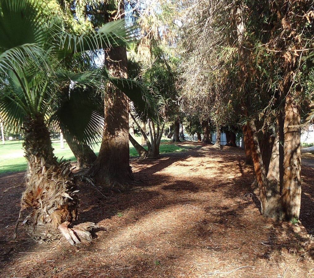 Public park, Cupertino
