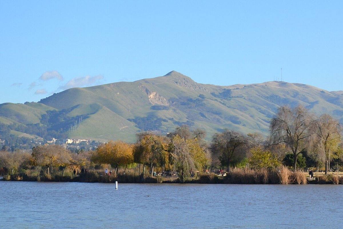 Fremont · city view
