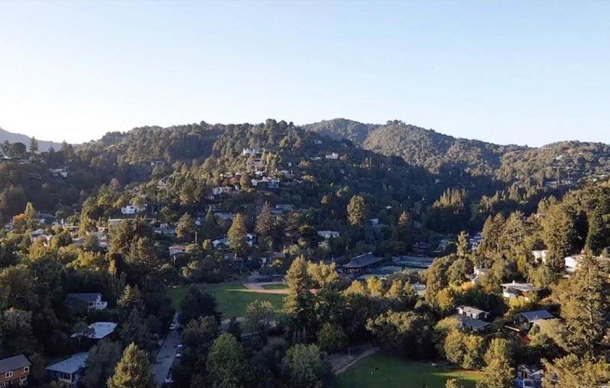 Mill Valley · city view