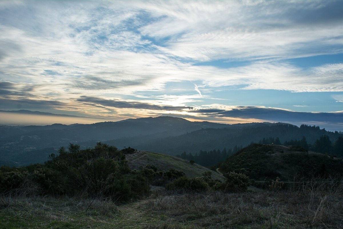 Morning in Portola Valley
