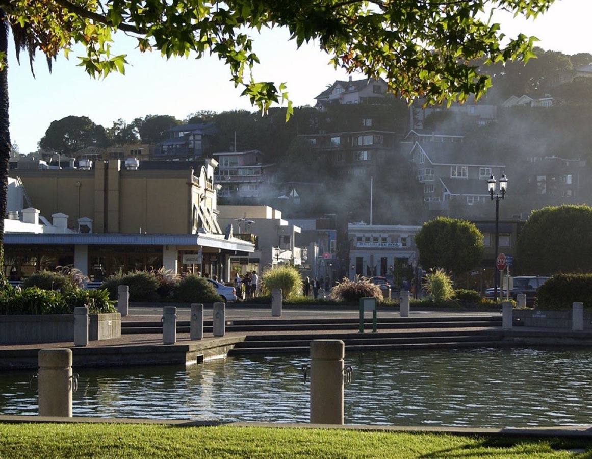 Tiburon · city view