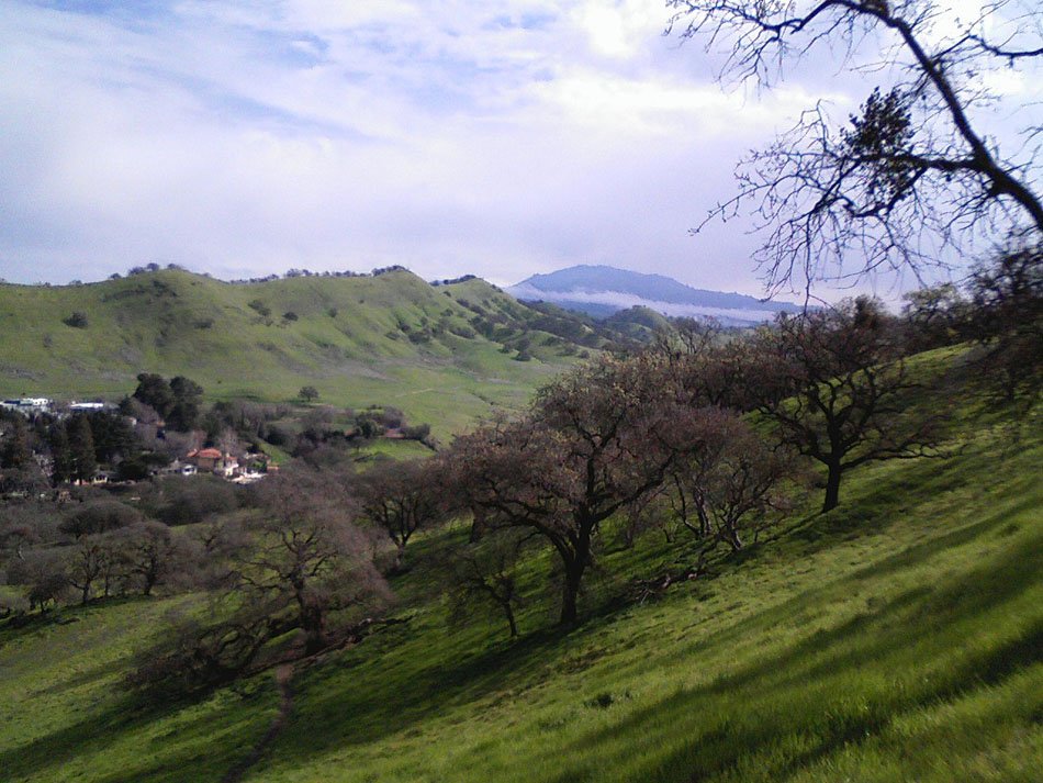 Walnut Creek · city view